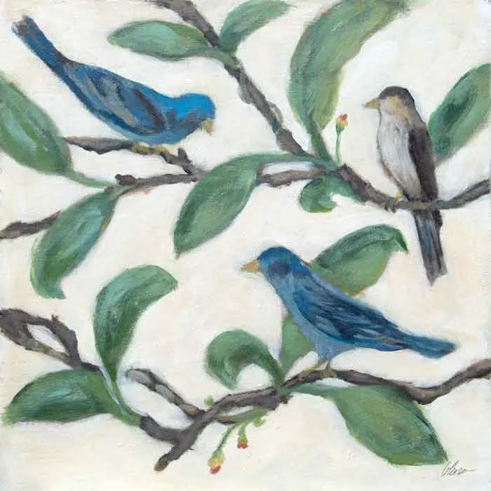 [BRAIAQ-12X12S-A-G] Audubon's Indigo-Aquarius (Gold, 12x12-Square)