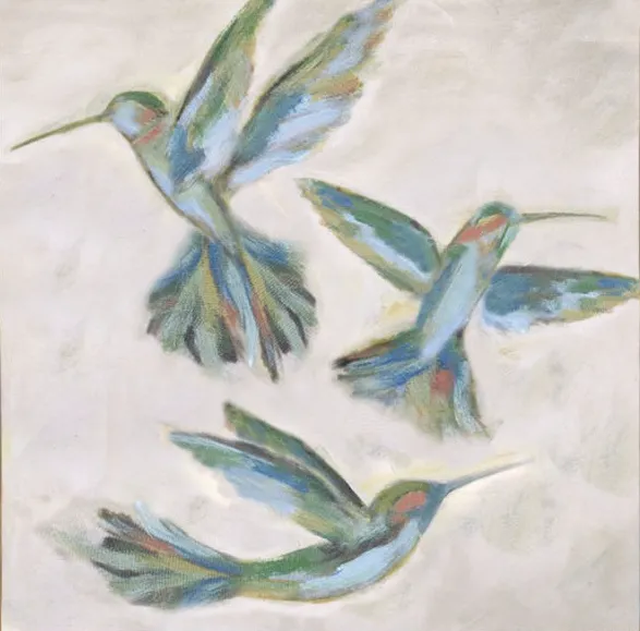 Hummingbirds: Airfoil