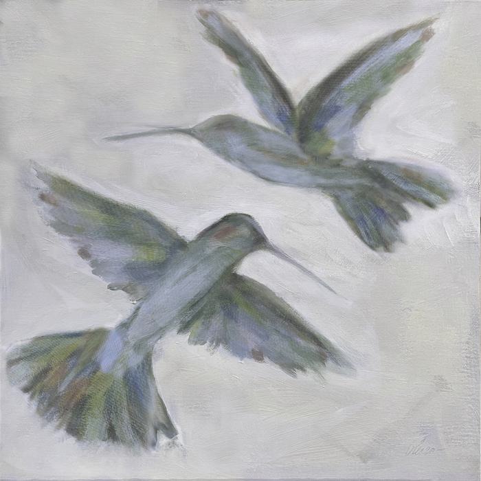 Hummingbirds: Level Flight