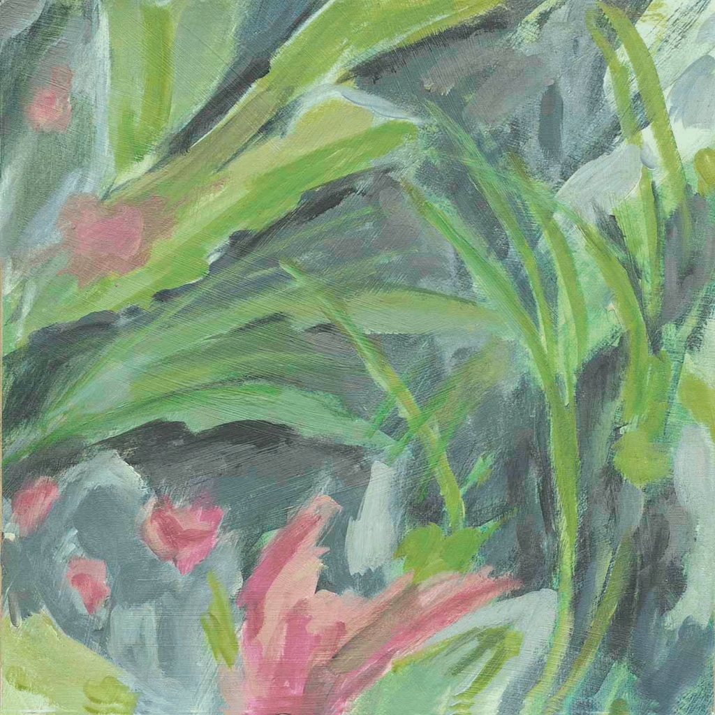 Pink Ginger: Blossoms