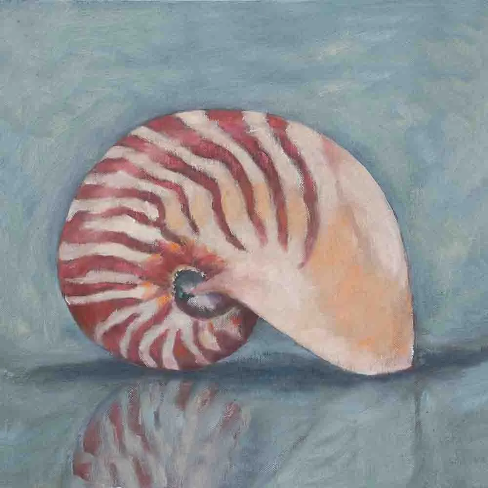 [NAUT-12X12S-A-G] Nautulus (Gold, 12x12-Square)