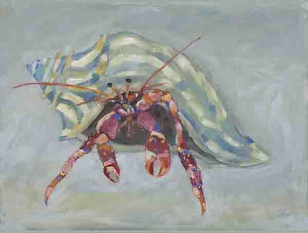 [BOCC-12X12S-A-G] The Hermit Crab (Gold, 12x12-Square)