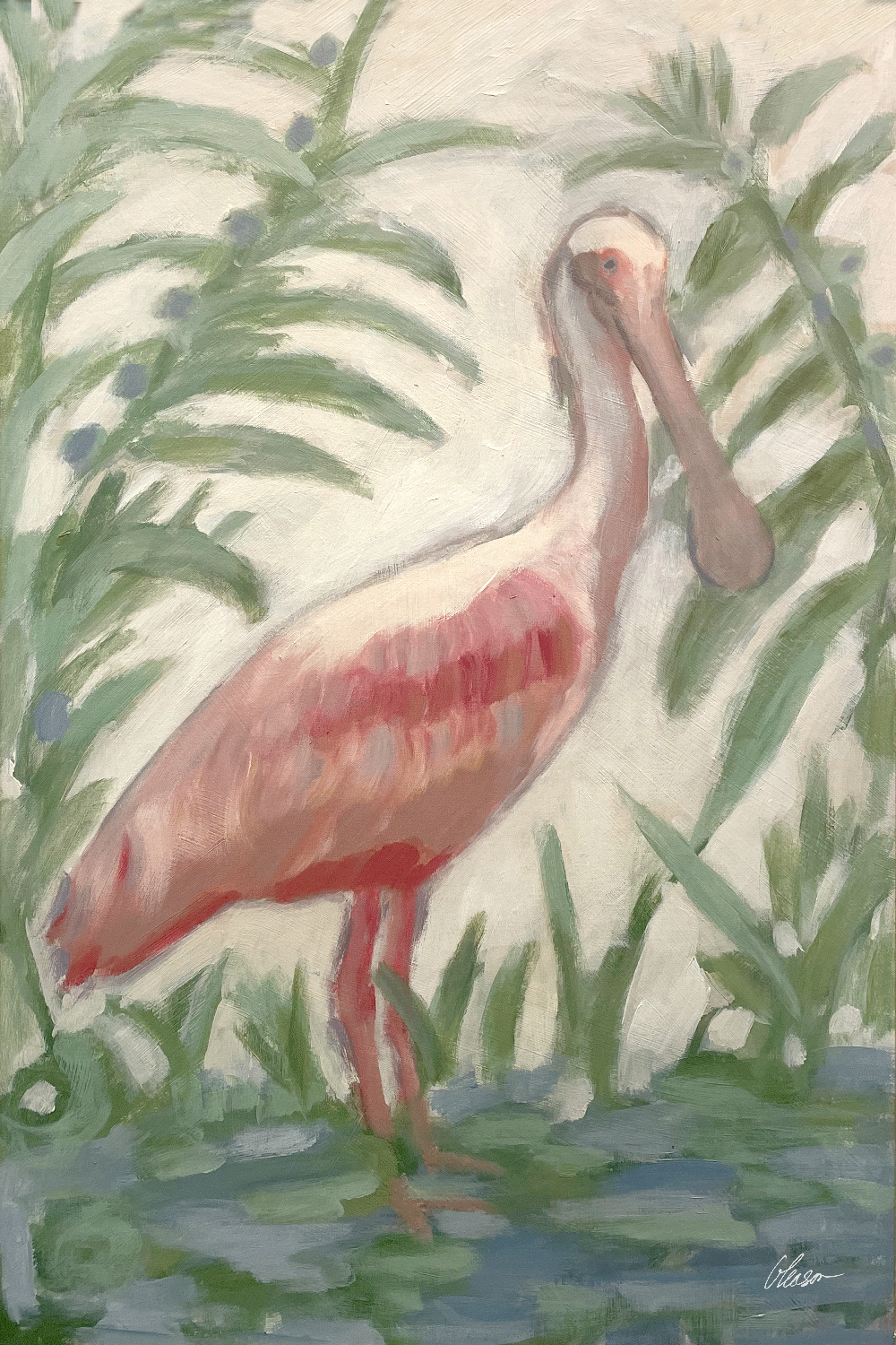 One Spoonbill