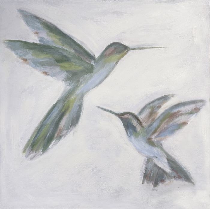 Hummingbirds: Absolute Altitude